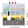 Conceptual illustration of the strategies used to achieve the miniature spectrometer chip