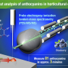 Conceptual diagram of high-throughput analysis for anthocyanins in horticultural crops using PESI/MS/MS