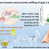 A brief schematic diagram of the detection principle and method