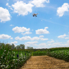 Photo of a drone above crops