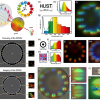 Complex diagram showing multispectral and polarised imaging using the SPMM with ordinary white light beams.