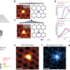 Vibrational spectroscopy of substitutional Si impurities in graphene